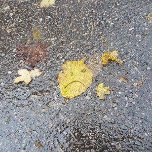 509C2768-9354-409D-A002-409BC6CD68D3