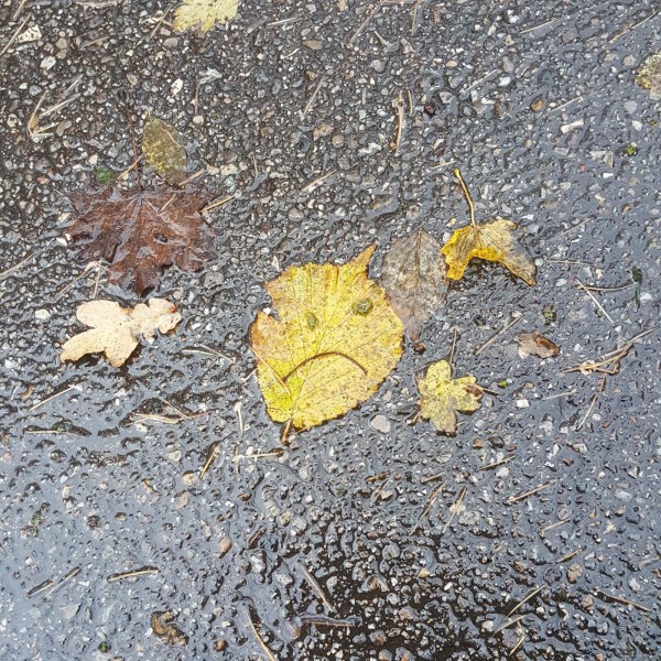 509C2768-9354-409D-A002-409BC6CD68D3