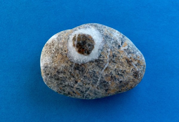 A199470F-47E7-4BA5-B1B9-1E90ED7615A3